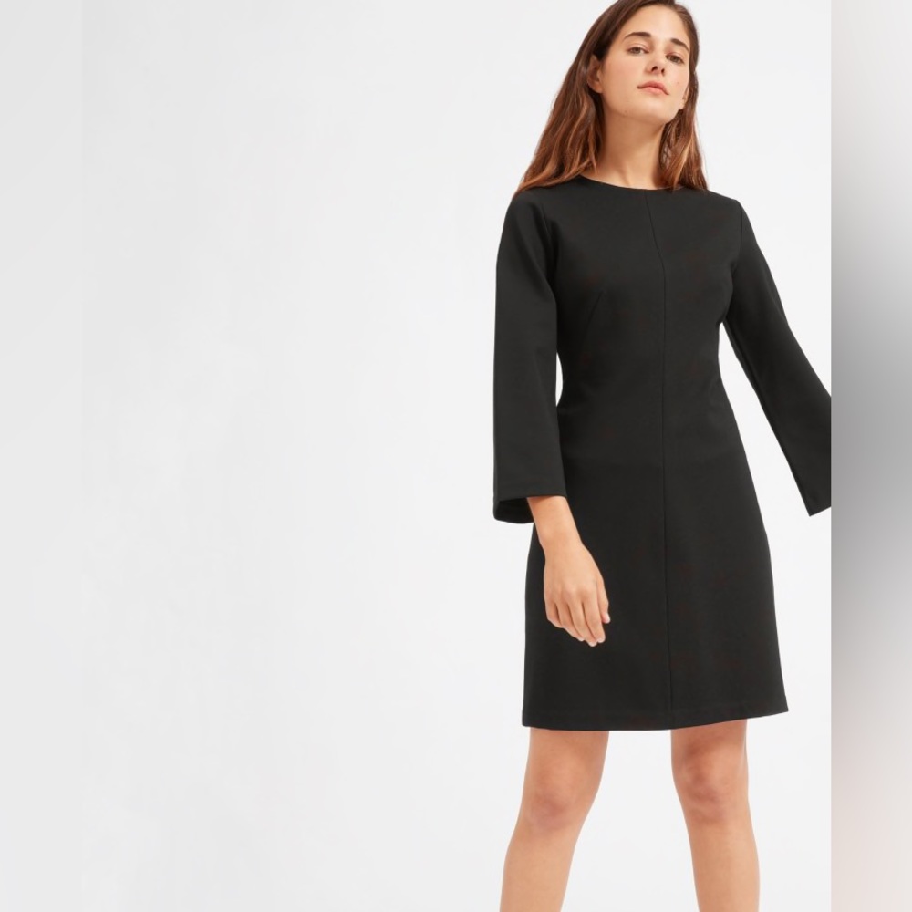 Everlane The Long Sleeve Shift Dress